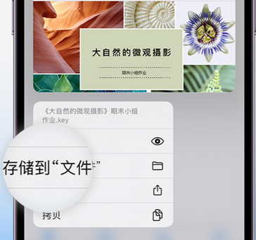 泰山apple维修中心分享iPhone文件应用中存储和找到下载文件