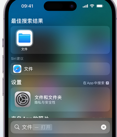 泰山apple维修中心分享iPhone文件应用中存储和找到下载文件