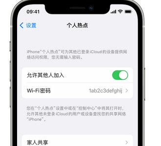 泰山apple服务站点分享iPhone上个人热点丢失了怎么办 