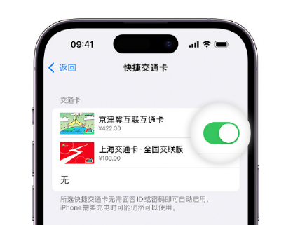 泰山apple维修点分享iPhone上更换Apple Pay快捷交通卡手绘卡面 