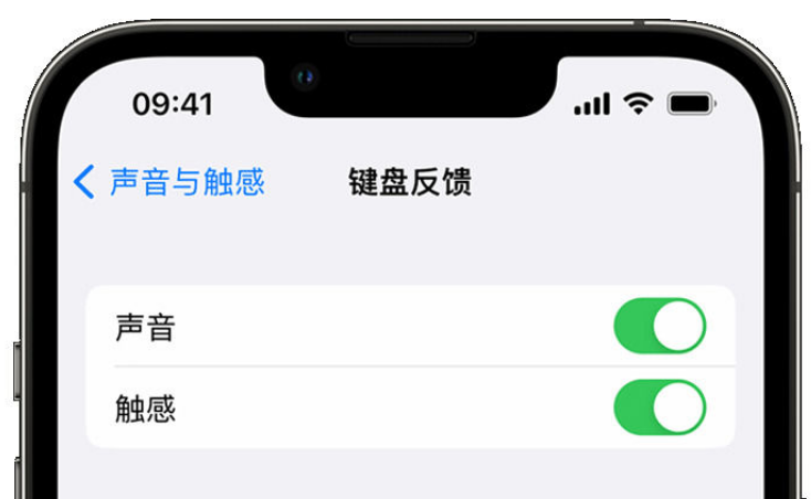 泰山苹果手机维修分享iPhone 14触感键盘使用方法 