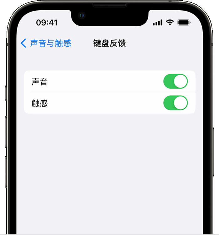 泰山苹果14维修店分享如何在 iPhone 14 机型中使用触感键盘 