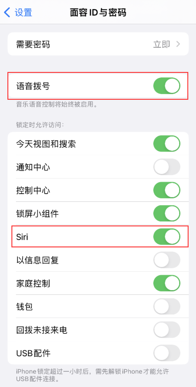 泰山苹果维修网点分享不解锁 iPhone 的情况下通过 Siri 拨打电话的方法 