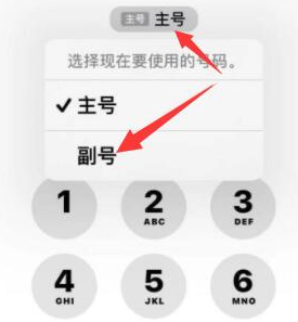 泰山苹果14维修店分享iPhone 14 Pro Max使用副卡打电话的方法 