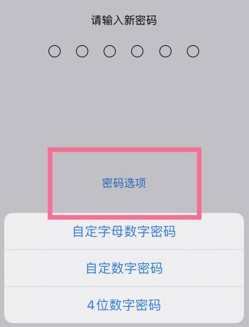 泰山苹果14维修分享iPhone 14plus设置密码的方法 