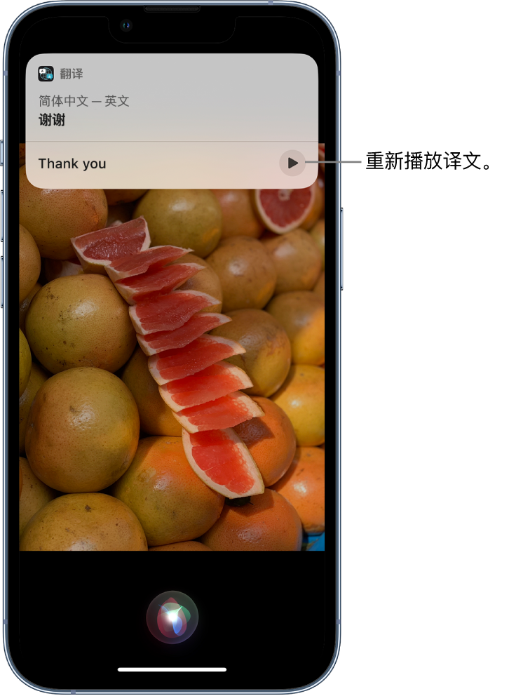 泰山苹果14维修分享 iPhone 14 机型中使用 Siri：了解 Siri 能帮你做什么 