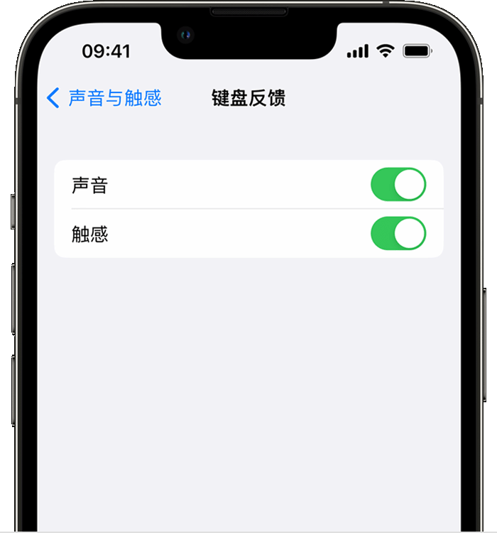 泰山苹果14维修分享iPhone 14 系列机型如何开启键盘声音或触感反馈 