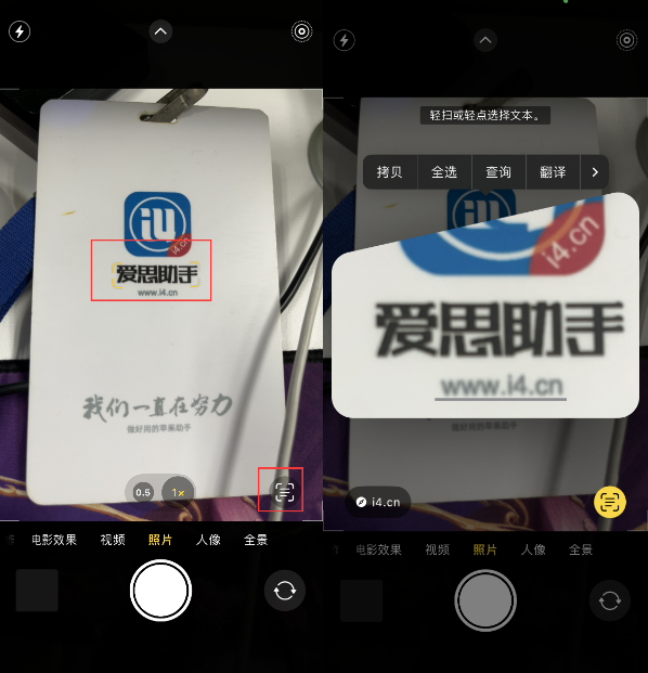 泰山苹果手机维修分享升级iOS 16后如何通过相机翻译文本 