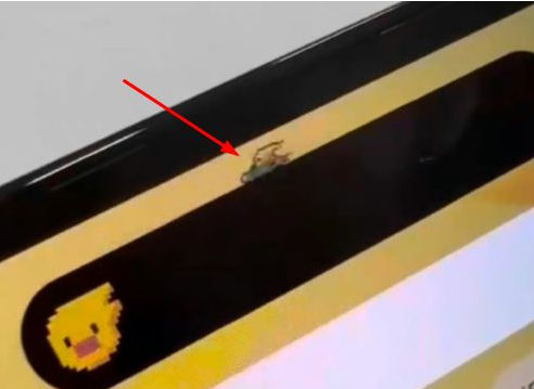 泰山苹果14维修分享iPhone 14 Pro Max灵动岛怎么养宠物 