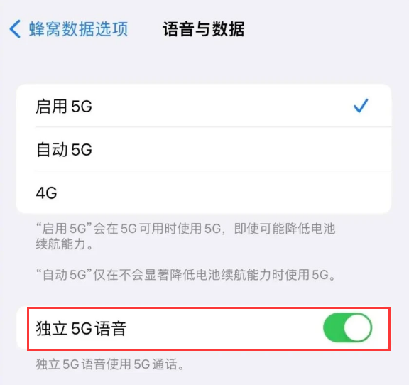 泰山苹果14维修分享iPhone 14 Pro如何开启VoNR 