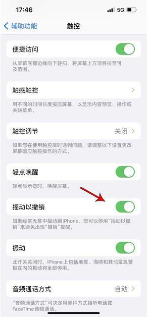 泰山苹果手机维修分享iPhone手机如何设置摇一摇删除文字 