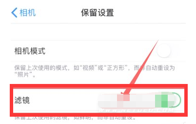 泰山苹果13维修分享iPhone13拍照有绿点是怎么回事 
