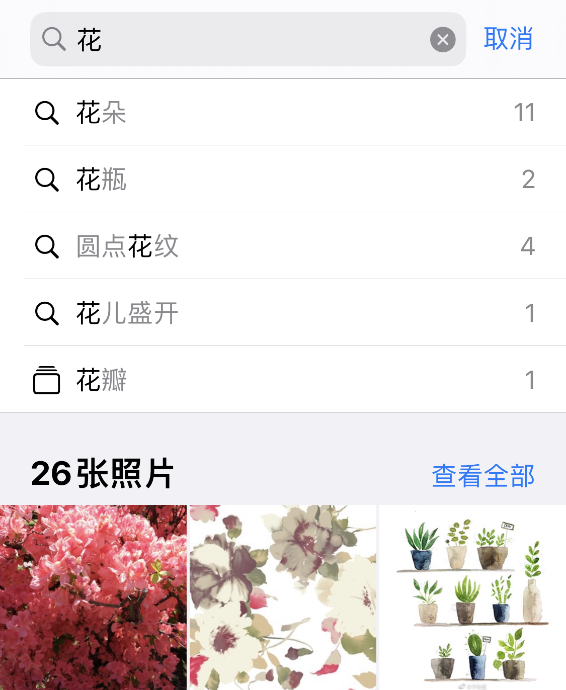 泰山苹果手机维修分享iPhone 小技巧 