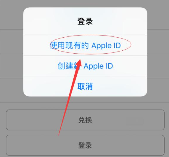 泰山苹果手机维修分享两台iPhone设备可以同时登录一个Apple ID吗 