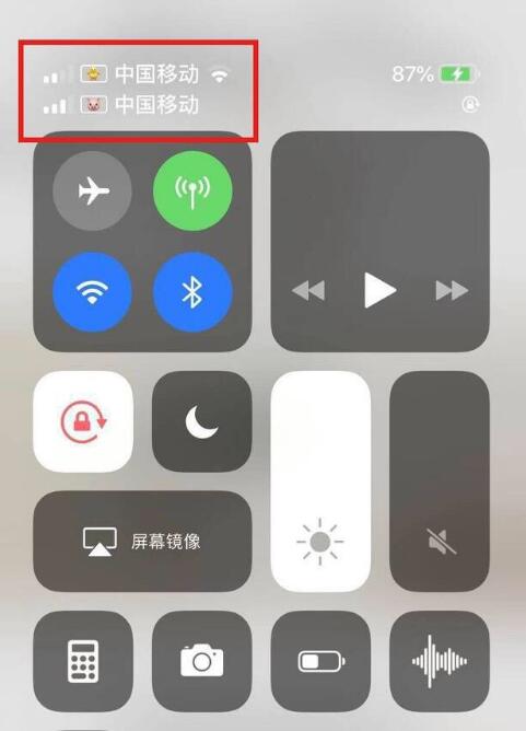 泰山苹果手机维修分享为 iPhone 12 双卡设置标签 