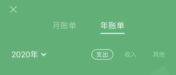 泰山苹果手机维修分享如何在 iPhone 上查看支付宝和微信年支出账单 